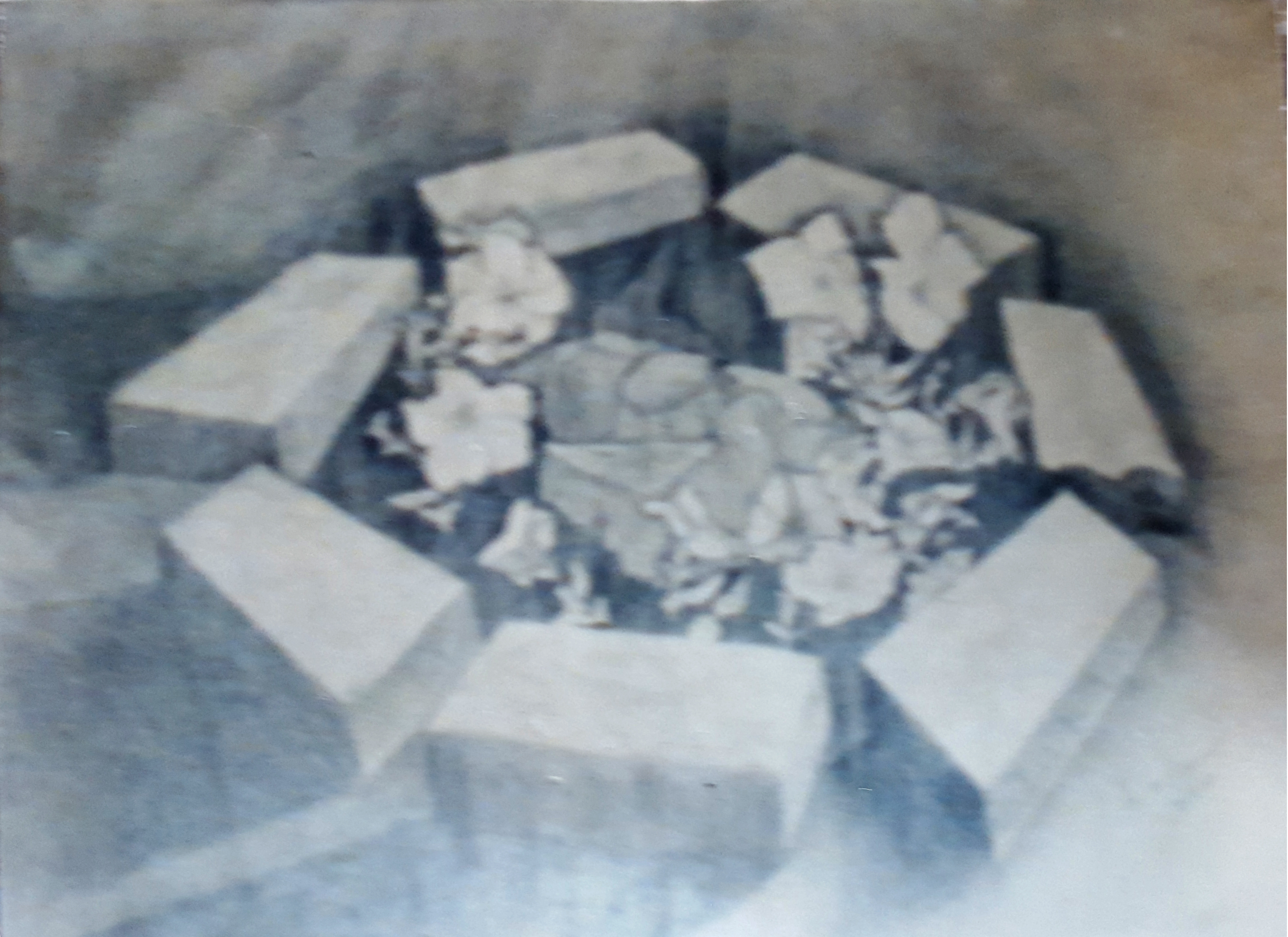 Petunia's in the Moonlight